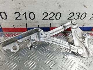 петля капота Volkswagen Golf Plus 1 поколение 2008, 1.9 л., дизель, МКПП, хетчбэк 5 дв.