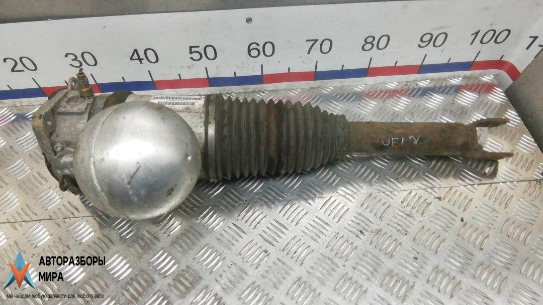 амортизатор задний левый Volkswagen Phaeton 1 поколение 2005, 3.2 л., бензин, АКПП, седан, 3D0616001N, 3D0616001H - фото №1