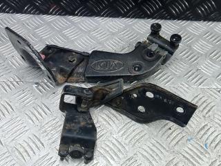 петля двери Kia Carnival VQ 2005, 2.9 л., дизель, МКПП, минивэн