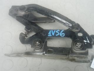 петля капота Mercedes-Benz GLK-Класс X204 2009, 2.1 л., 220 CDI 4Matic BlueEFFICIENCY, дизель, АКПП, внедорожник 5 дв.