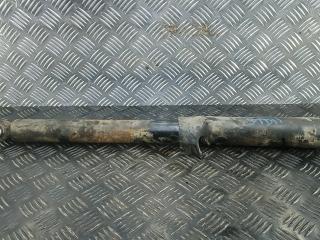 амортизатор задний Ford Transit 8 поколение 2016, 2.2 л., дизель, МКПП, микроавтобус