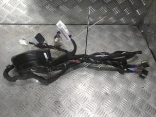 дверная проводка Tesla Model X 1 поколение 2019, Электро , цвет, 1032881