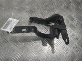 петля двери Tesla Model X 1 поколение 2019, Электро , цвет, 1898789