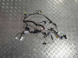 дверная проводка Tesla Model X 1 поколение 2019, Электро , цвет, 2032442