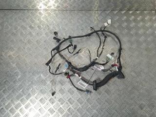 дверная проводка Tesla Model X 1 поколение 2019, Электро , цвет, 1032432