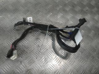 дверная проводка Tesla Model X 1 поколение 2019, Электро , цвет, 1063405