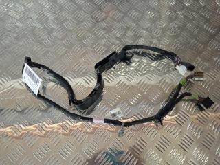 дверная проводка Tesla Model X 1 поколение 2019, Электро , цвет, 1063406