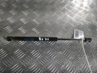 амортизатор капота Tesla Model X 1 поколение 2019, Электро , цвет, 1033879