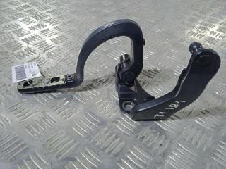 петля двери Tesla Model X 1 поколение 2019, Электро , цвет, 1037844