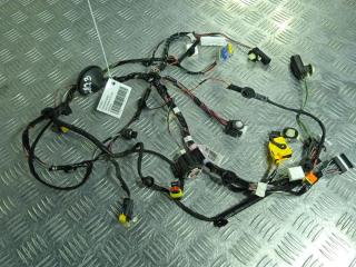 дверная проводка Tesla Model X 1 поколение 2019, Электро , цвет, 2032441