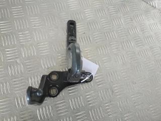 петля двери Tesla Model X 1 поколение 2019, Электро , цвет, 1037844