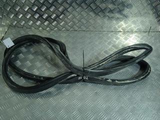 уплотнитель Tesla Model X 1 поколение 2019, Электро , цвет, 1033038