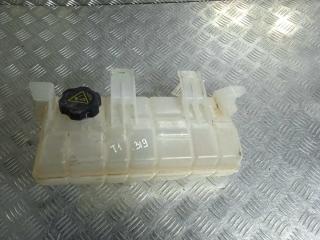 бачок расширительный Tesla Model X 1 поколение 2019, Электро , цвет, 1036124