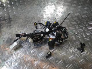 дверная проводка Tesla Model X 1 поколение 2019, цвет, 2032442