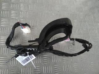 дверная проводка Tesla Model X 1 поколение 2019, Электро , цвет, 1063405