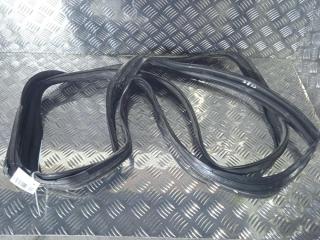 уплотнитель Tesla Model X 1 поколение 2019, Электро , цвет, 1090493