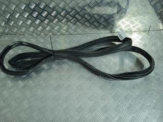 уплотнитель Tesla Model X 1 поколение 2019, Электро , цвет, 1033038