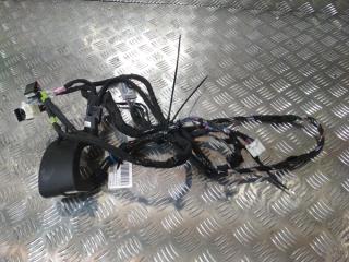 дверная проводка Tesla Model X 1 поколение 2019, цвет, 1032882