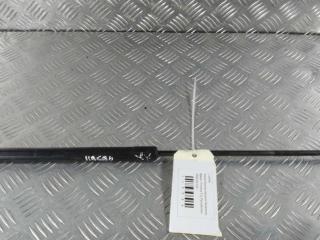 амортизатор крышки багажника (3-5 двери) Nissan Primera P12 2001, цвет, 904529F700