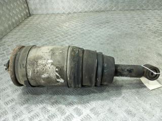 пневмостойка задняя Land Rover Discovery 3 поколение 2007, цвет, 22214642
