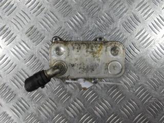 теплообменник масляного фильтра Volkswagen Passat B6 2008, цвет, 06D117021C