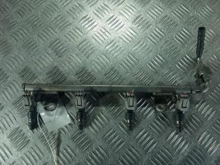 топливная рампа Nissan Serena C25 [рестайлинг] 2009, цвет