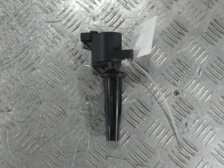 катушка зажигания Ford Focus 2 поколение [рестайлинг] 2007, цвет, 190904LI