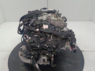 двигатель Lamborghini Urus 1 поколение 2022, цвет, DWH