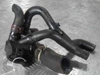 корпус термостата Renault Scenic 3 поколение [2-й рестайлинг] 2015, цвет