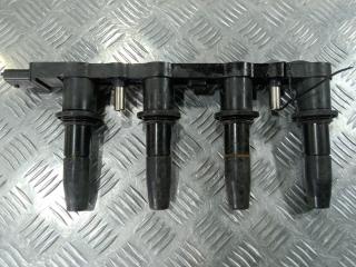 катушка зажигания Chevrolet Cruze 1 поколение [рестайлинг] 2014, цвет