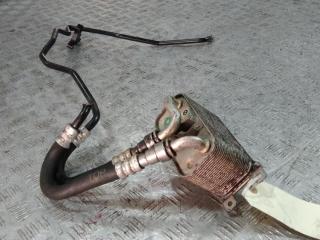 радиатор АКПП BMW 5 E60/E61 (03-07) 2007, Дизель 3.0, цвет, F5203005