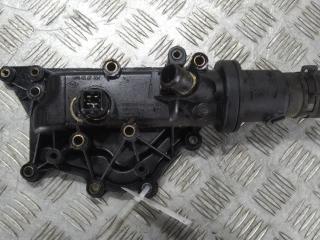 корпус термостата Renault Scenic 2 поколение [рестайлинг] 2007, цвет, 8200023915