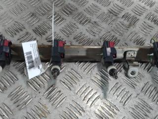 топливная рампа Jeep Compass 1 поколение 2009, цвет