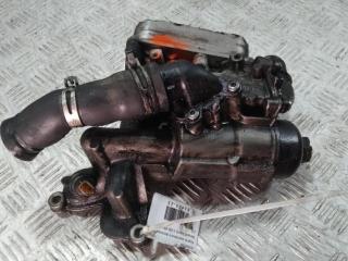 корпус масляного фильтра Renault Scenic 2 поколение [рестайлинг] 2007, цвет