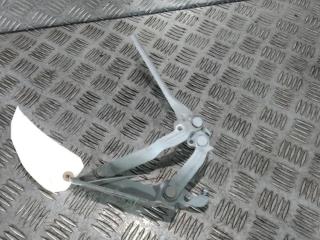 петля капота левая Volkswagen Golf 5 поколение 2006, цвет, 1K0823301C