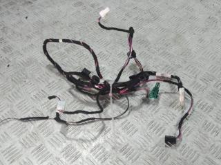 проводка Tesla Model 3 1 поколение 2019, цвет, 812144970