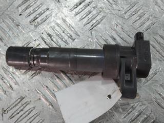 катушка зажигания Hyundai Sonata NF 2006, цвет, 27301-3C000