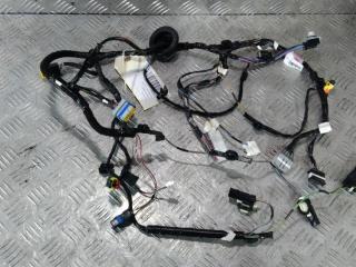 дверная проводка Tesla Model X 1 поколение 2019, Электро , цвет, 2032442