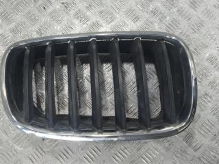 решетка радиатора BMW X5 E53 2008, цвет, 7171396