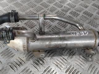 охладитель EGR / Радиатор EGR Volkswagen Sharan 1 поколение [2-й рестайлинг] 2005, цвет