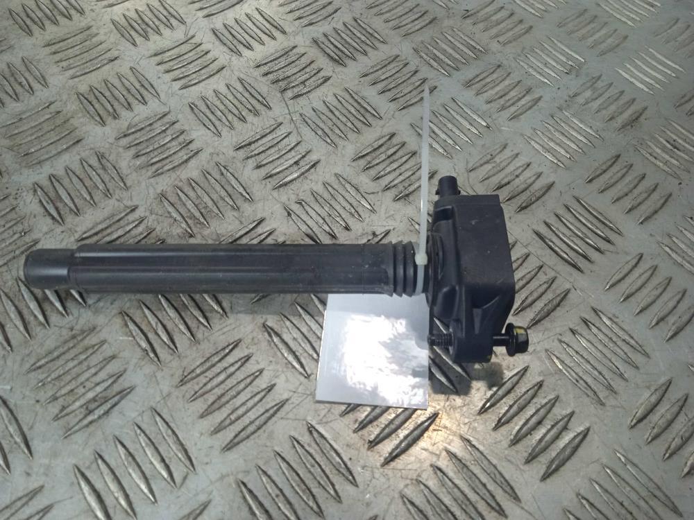 катушка зажигания Jeep Compass 2 поколение 2018, цвет, 0221504051 - фото №1