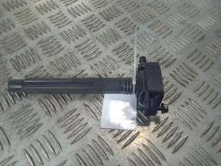 катушка зажигания Jeep Compass 2 поколение 2018, цвет, 0221504051