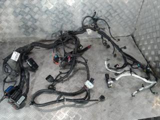 проводка двигателя Chevrolet Volt 1 поколение 2014, цвет