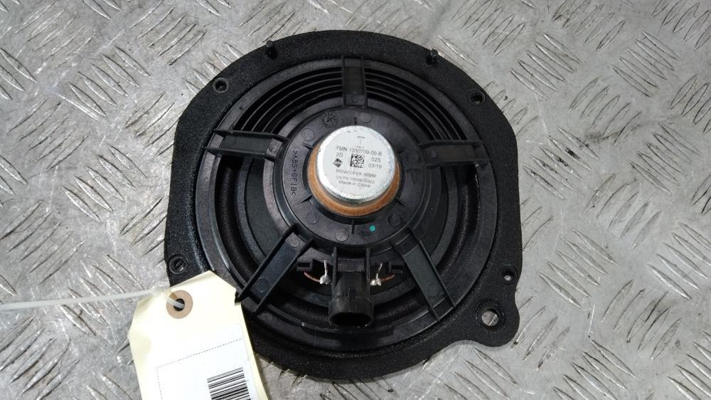 динамик Tesla Model X 1 поколение 2019, Электро , цвет, 1050709 - фото №1