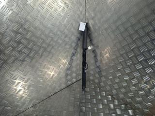 Амортизатор двери Tesla Model X 1 поколение 2019, Электро , цвет, 1063440