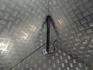 Амортизатор двери Tesla Model X 1 поколение 2019, Электро , цвет, 1063441