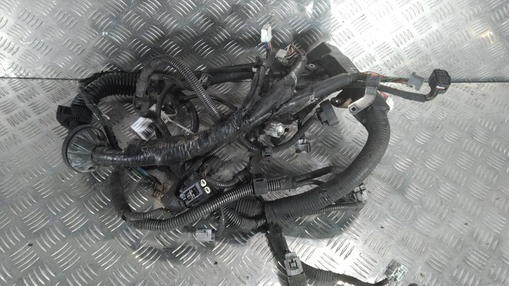 проводка двигателя Toyota Prius 2 поколение 2006, Бензин 1.5, цвет - фото №1