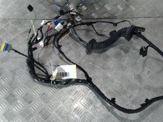 дверная проводка Tesla Model X 1 поколение 2019, Электро , цвет, 1032440