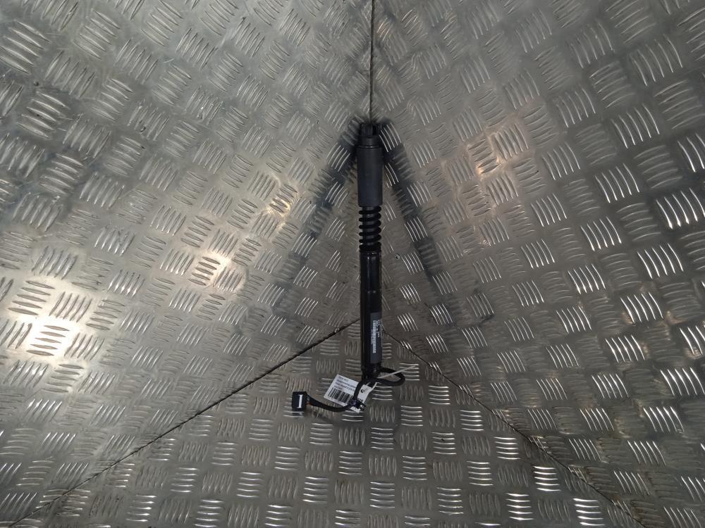 Амортизатор двери Tesla Model X 1 поколение 2019, Электро , цвет, 1063441 - фото №1