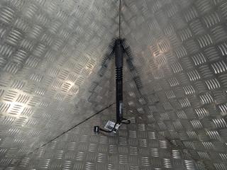 Амортизатор двери Tesla Model X 1 поколение 2019, Электро , цвет, 1063441